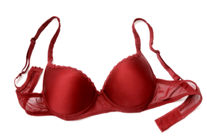 Find Out Your Bra Size